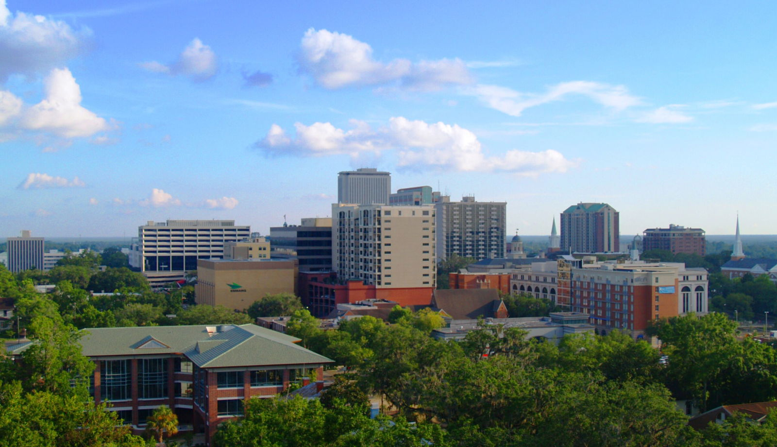 Tallahassee To Rename Street After Civil Rights Activist Anita Davis