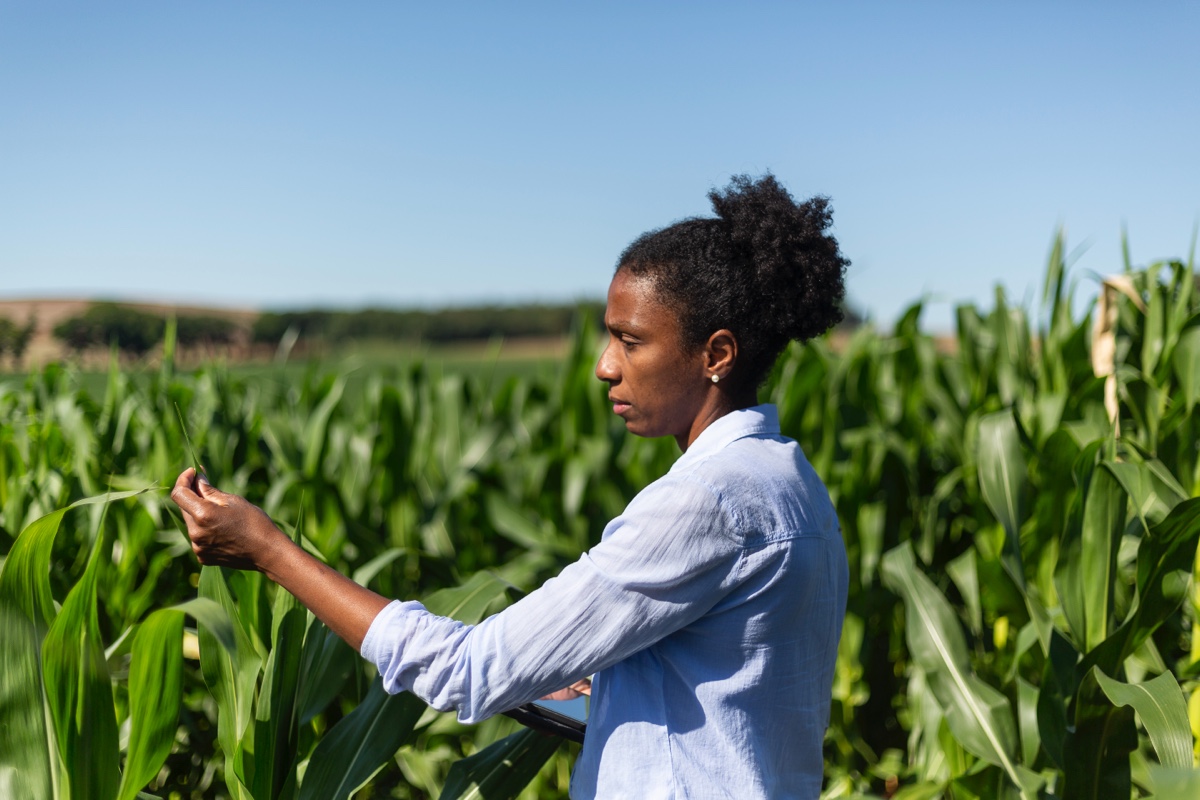 Help The Black Farmer’s Index Combat Food Insecurity And Agricultural Inequity